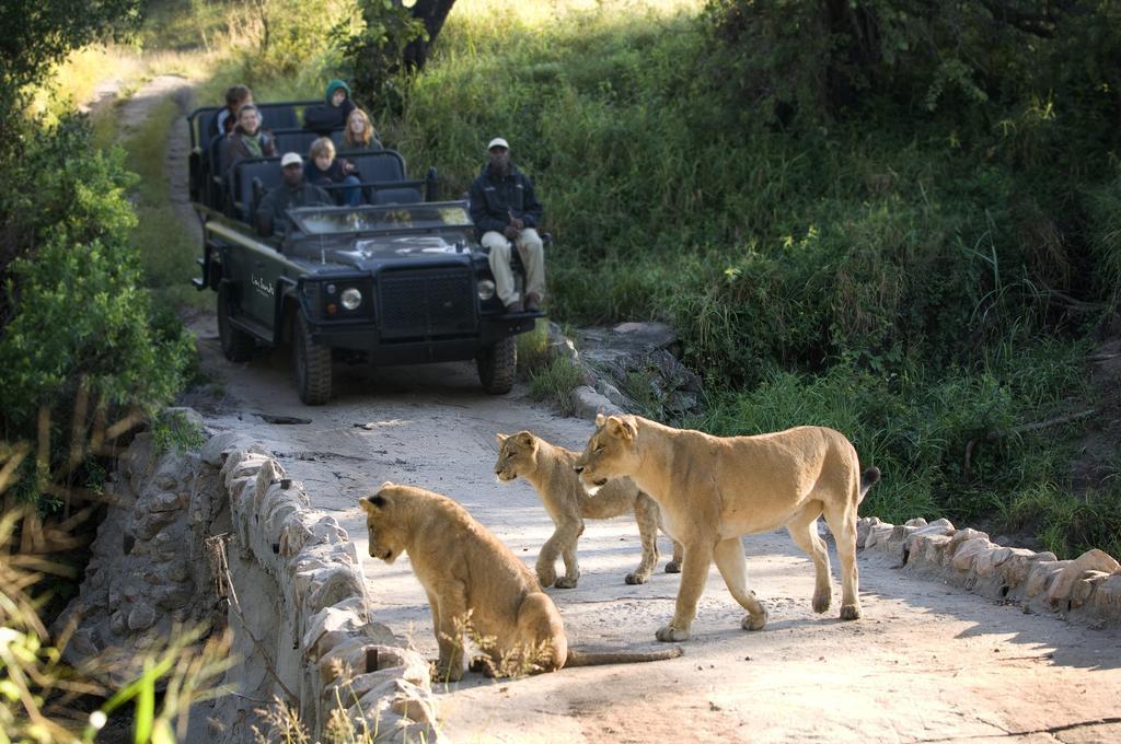 שמורת הציד סאבי סנד Lion Sands River Lodge מראה חיצוני תמונה